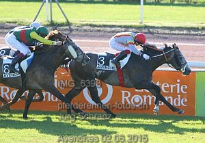 Details Kategorie: Avenches 02.06.2015